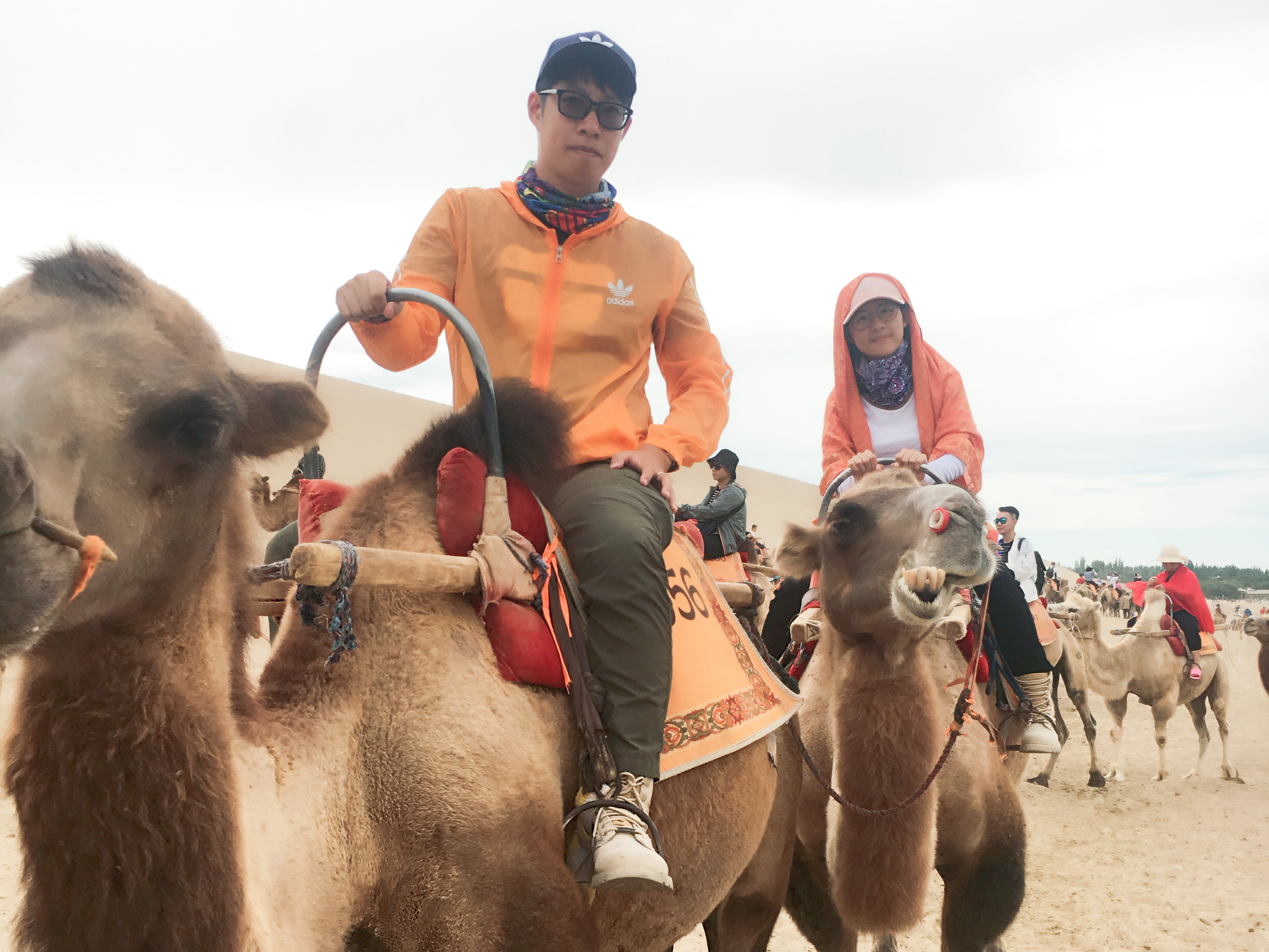 80岁夫妻自驾游视频全集,自驾游全国攻略44天