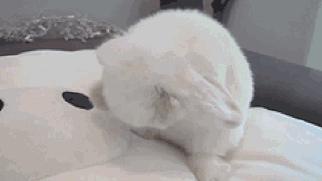 你以为的景甜原版视频,景甜同款专业级底妆