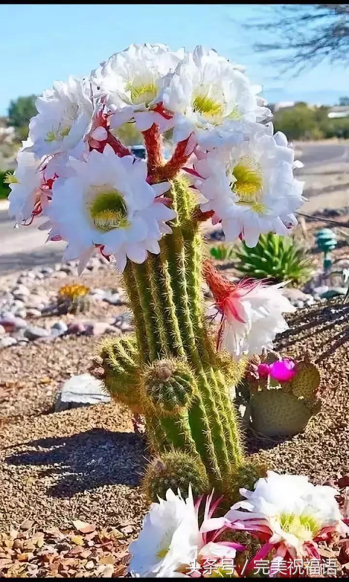 会动的视觉图片14张,会动的图片21张太美了