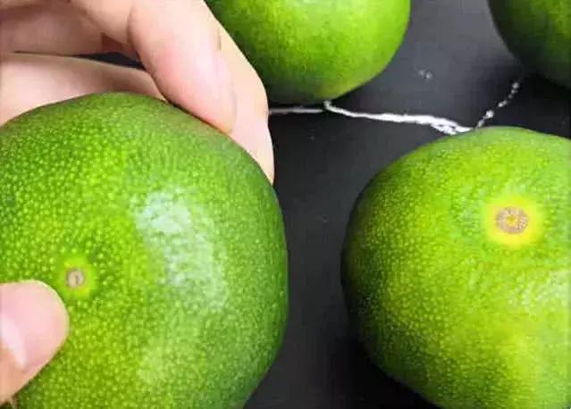 现在正当季的橘子品种有哪些,秋橘子怎么挑