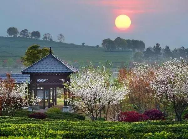 中国十大出圈城市南昌,中国南昌城市排名