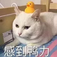 最新澳洲奶粉新消息,澳洲进口奶粉最新消息