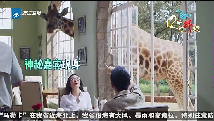 肯尼亚│我没有错过非洲，错过动物大迁徙