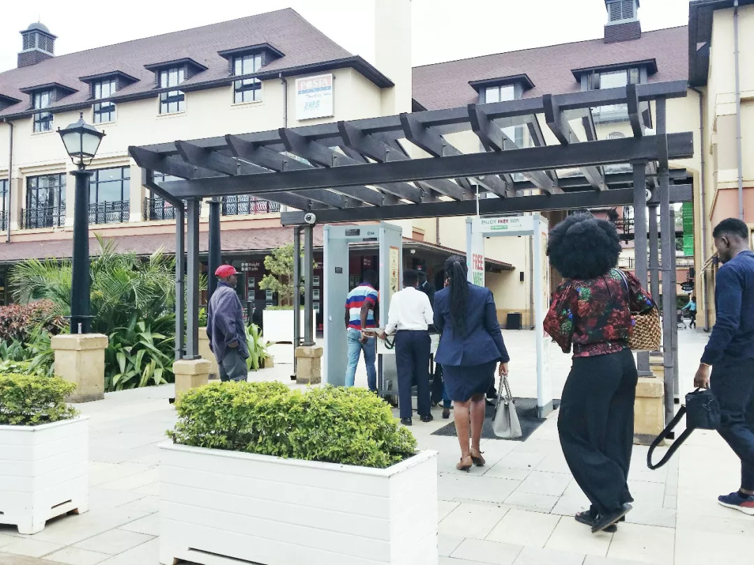 肯尼亚│我没有错过非洲，错过动物大迁徙