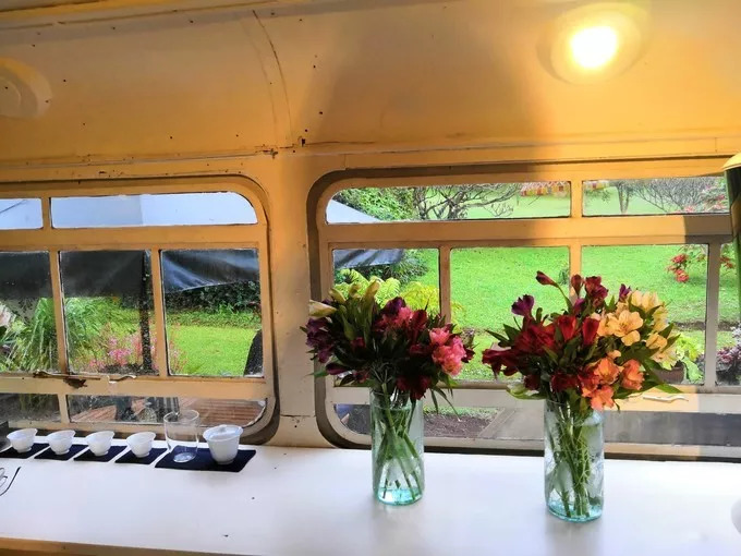 肯尼亚│我没有错过非洲，错过动物大迁徙