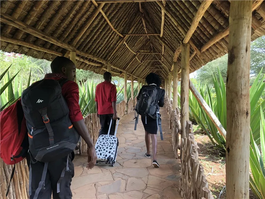 肯尼亚│我没有错过非洲，错过动物大迁徙