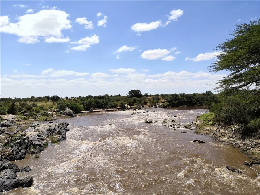 肯尼亚│我没有错过非洲，错过动物大迁徙