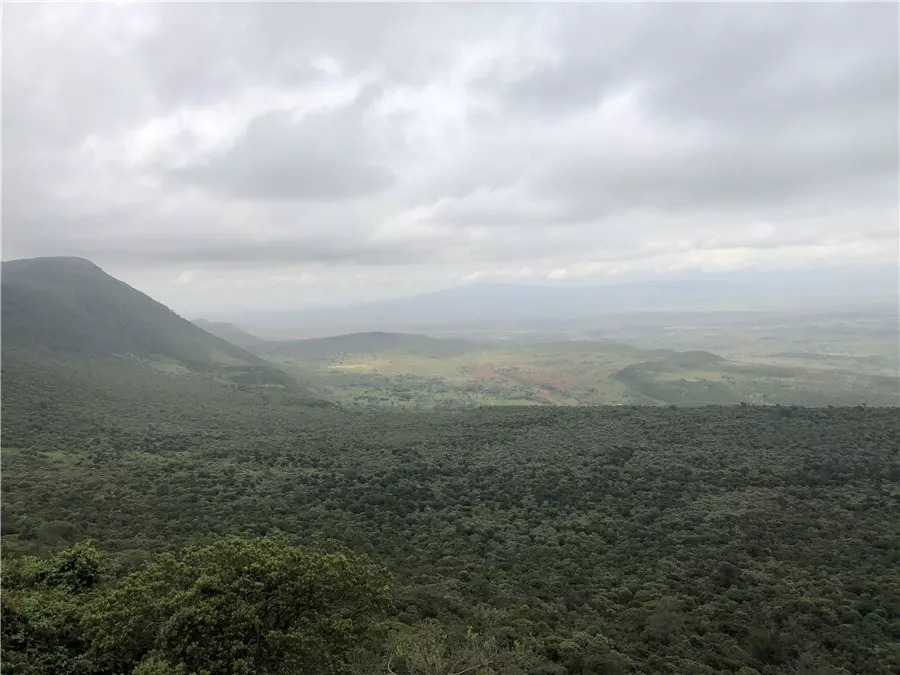 肯尼亚│我没有错过非洲，错过动物大迁徙