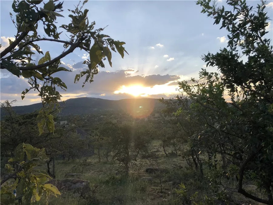 肯尼亚│我没有错过非洲，错过动物大迁徙