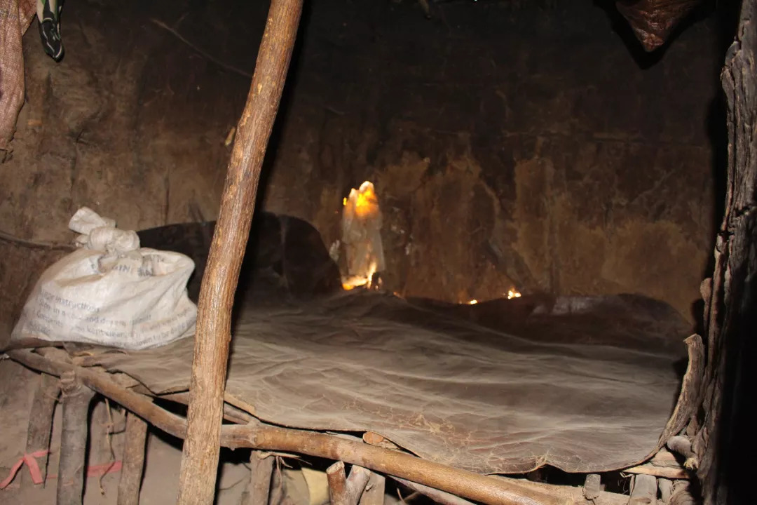 肯尼亚│我没有错过非洲，错过动物大迁徙