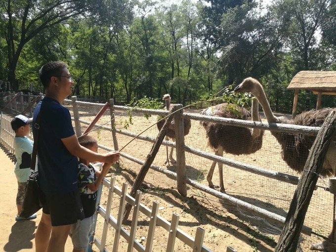 寻秦记旅游,寻秦记自驾旅游