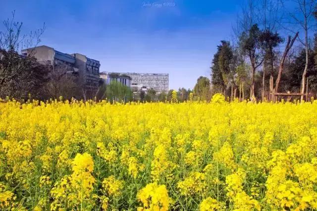 致拼搏奋斗路上莘莘学子,致莘莘学子的图片