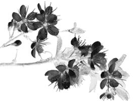 致拼搏奋斗路上莘莘学子,致莘莘学子的图片