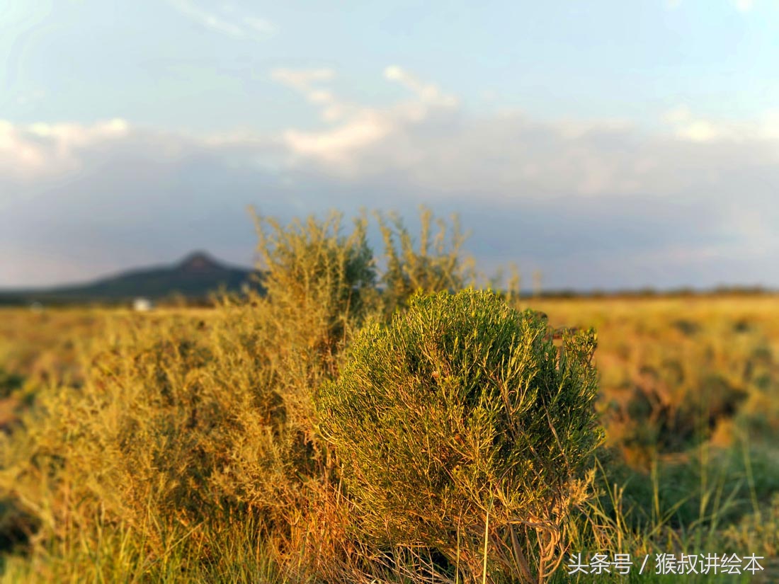 猴叔“美西”游记——6.从大峡谷到小峡谷