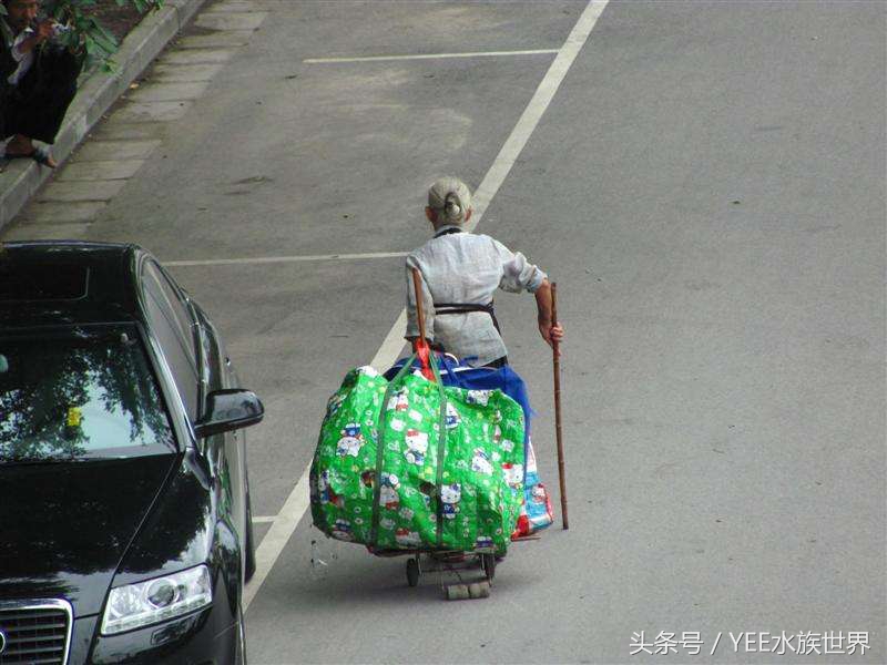 鱼缸摆放位置风水讲究正对门,摆放鱼缸养鱼跟风水真有关系吗