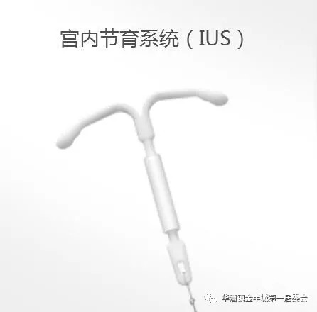 世界避孕日是几月几日,世界避孕日历年主题