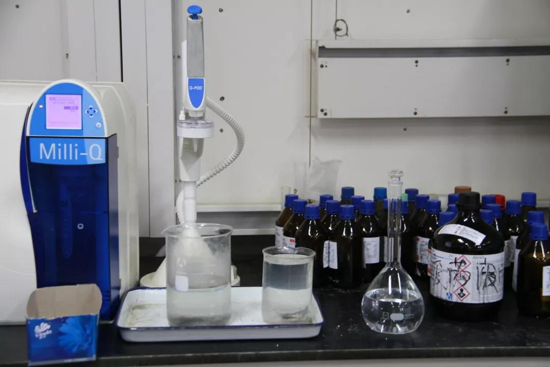 剃过光头做毛发测毒可以检测吗,毛发检测毒检