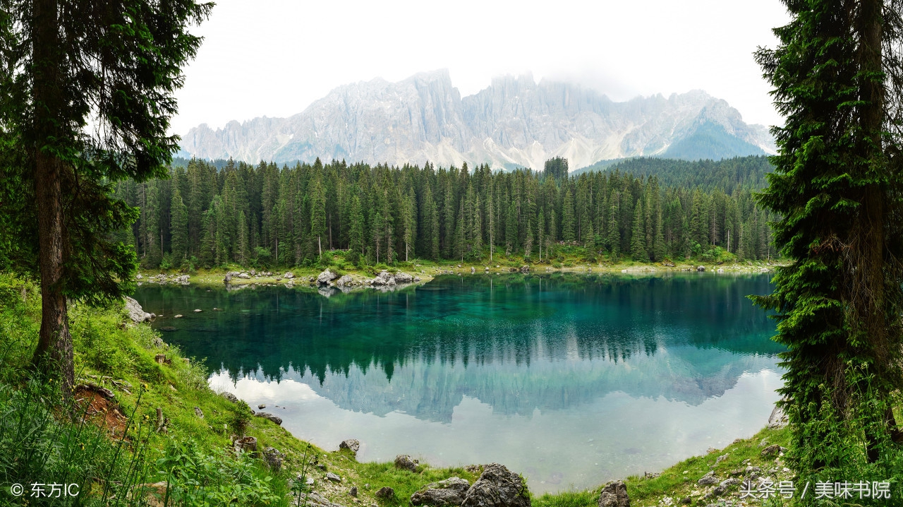 故事疯子,故事疯子和傻子