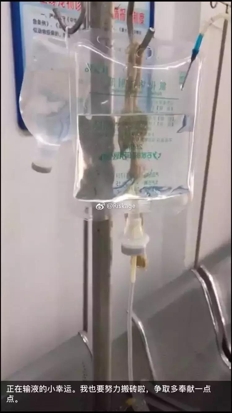 歹毒虐狗的人渣，请滚出天津！