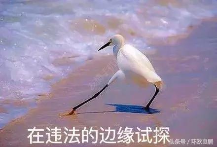 海关对出境携带金银及制品的规定,海关提醒出境游