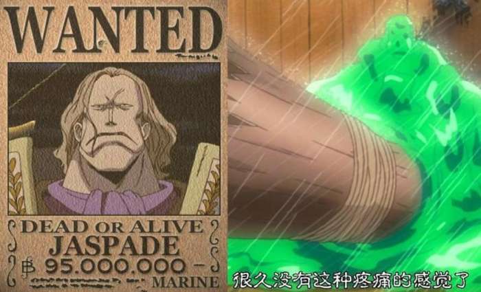 海贼王七个恶魔果实,海贼王最有争议的五个果实