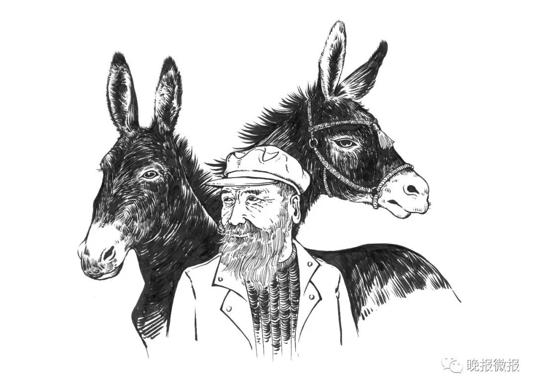 悦读周刊｜小说——苜蓿台