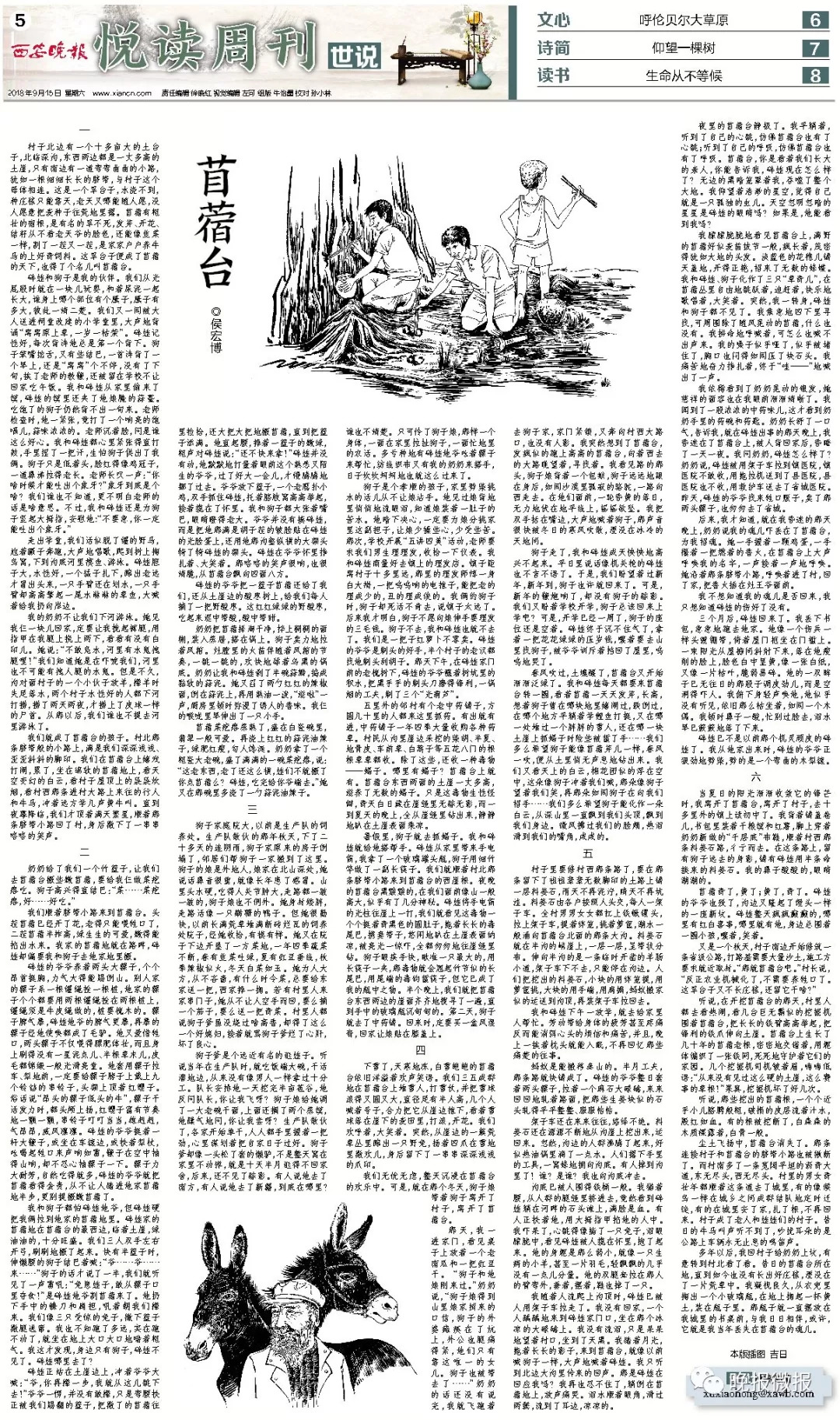 悦读周刊｜小说——苜蓿台