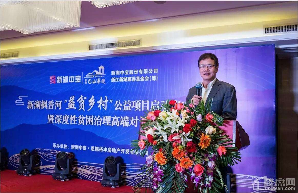 涌金系淡出确定性的未来,涌金系与新湖系的区别