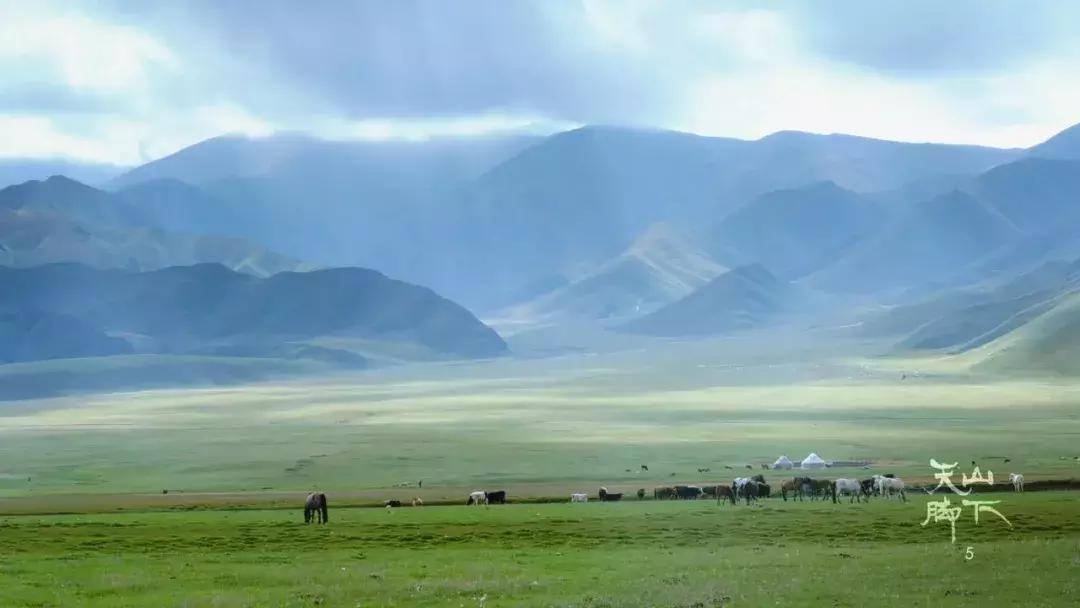 一遇甘南误终身从此天堂就是路人,一遇西藏误终身天堂是路人