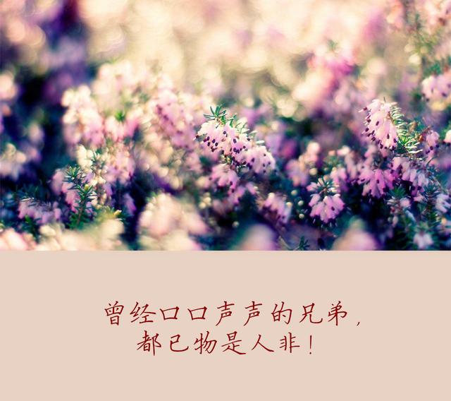 人穷莫走亲寒心伤感语录,人穷了别走亲寒心图片