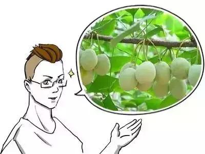 吃杂粮的功效与作用,二十四种杂粮功效大揭秘受用一生