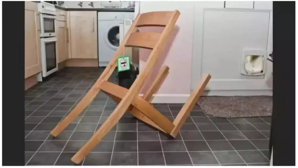 搞笑诺贝尔奖中国得主外国人反应,2019年搞笑诺贝尔奖