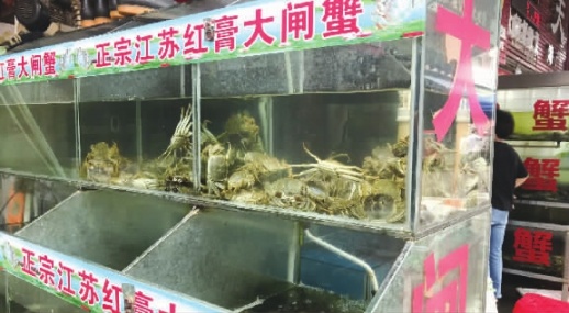 金秋时节吃蟹最好的时候,又到吃蟹肉的季节