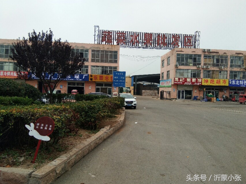 山东临沂蔬菜水果批发市场,临沂皇山果蔬批发市场