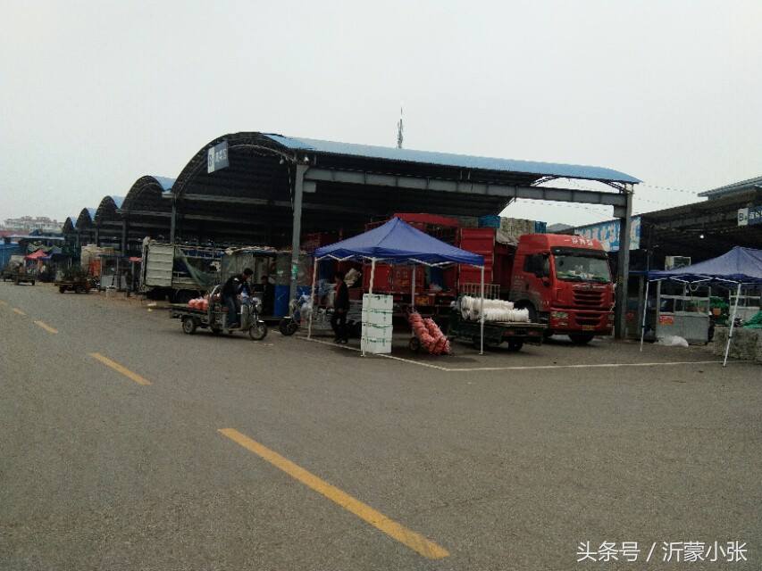 山东临沂蔬菜水果批发市场,临沂皇山果蔬批发市场