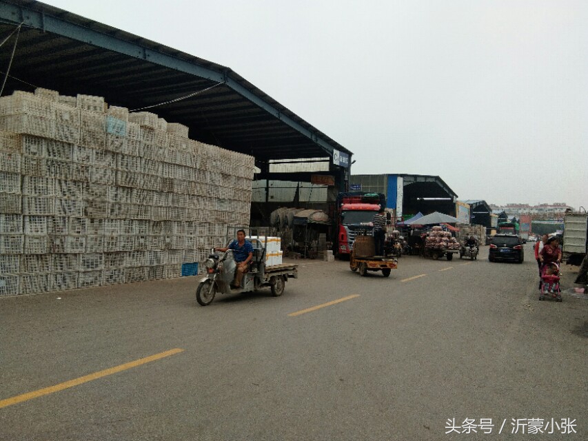 山东临沂蔬菜水果批发市场,临沂皇山果蔬批发市场