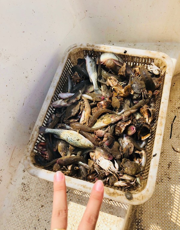海的味道英语,海的味道男声