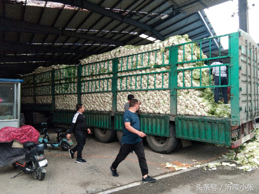 山东临沂蔬菜水果批发市场,临沂皇山果蔬批发市场