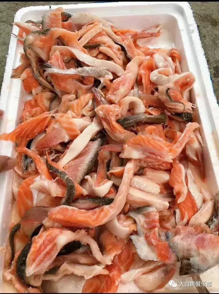 网上购买狗粮怎么辨别是否安全,网购狗粮的危害