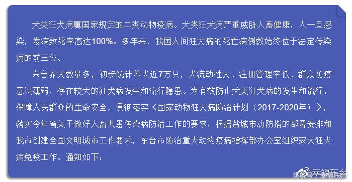 关于养犬致全体市民的一封公开信,通知给养犬居民的一封信请查收