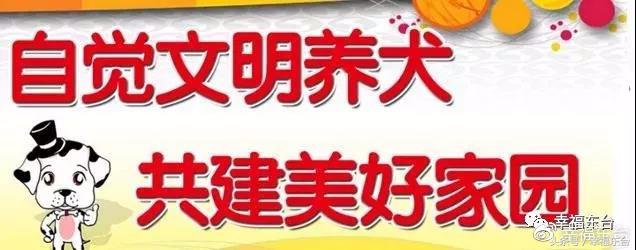 关于养犬致全体市民的一封公开信,通知给养犬居民的一封信请查收