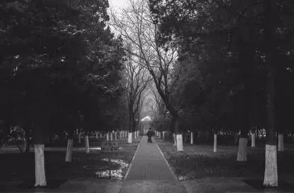 10天后，官园批发市场就没了！想怀念再去瞜一眼，顺便捡漏！