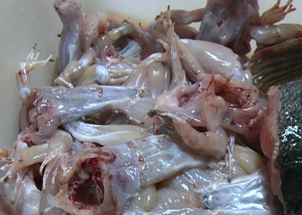 廖姥爷美蛙鱼头晋宁店,晋宁吾悦广场美蛙鱼头团购