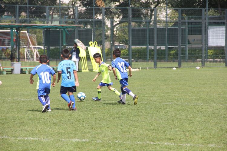 孩子踢足球算体育加分吗,孩子学踢足球有多厉害