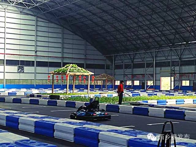 体育产业调研,体育行业调研报告7000字