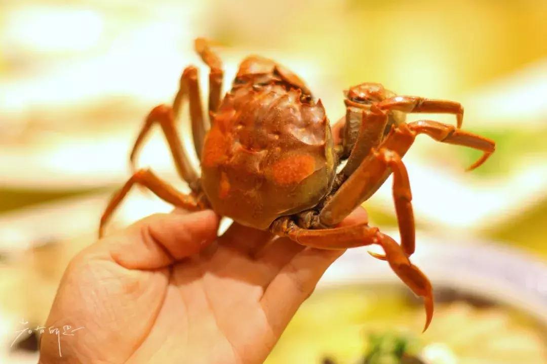 常熟沙家浜旅游攻略,游江苏省苏州市沙家浜景区