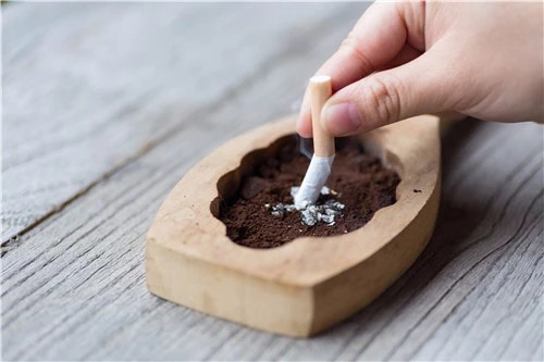 吃药忌口应该吃什么菜,吃药忌口期间适合的菜谱