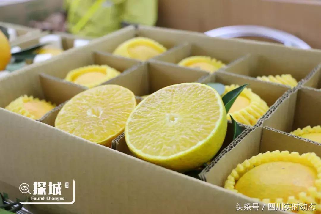 中秋赶地铁就能到的好去处，来一趟西博会好比去了全球90多个地区