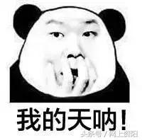 今天来逛西博会最全攻略,西博会有什么玩的