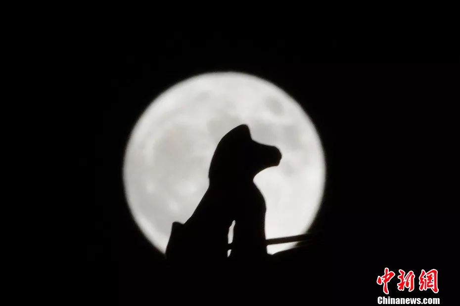 一年又到中秋日，与君共此时！福州中秋难赏月？这份拍摄秘籍要掌握！